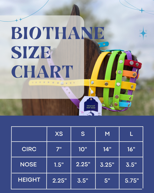 Standard Size Biothane Muzzles