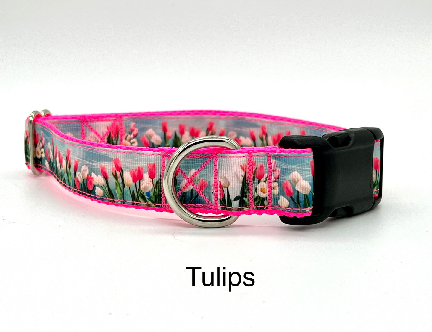 Ribbon on Webbing Collars