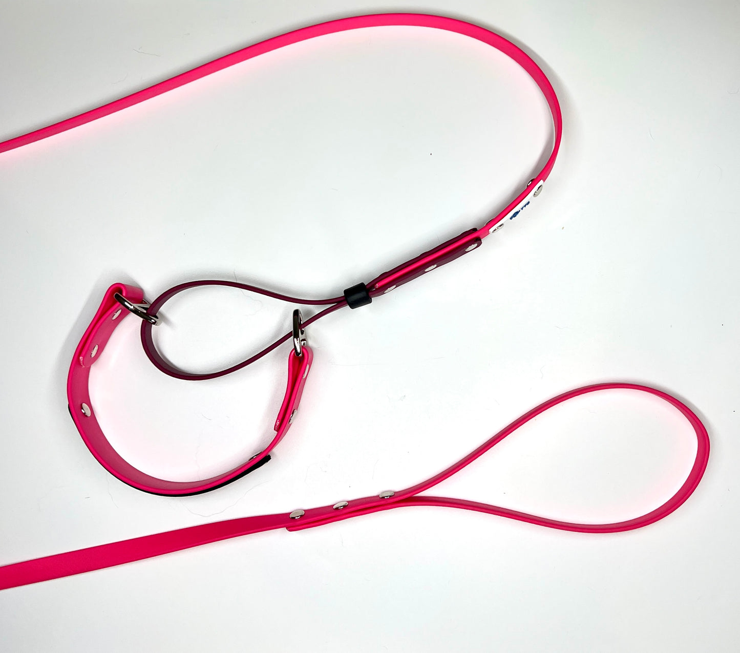 Martingale Leashes- Ready To Ship