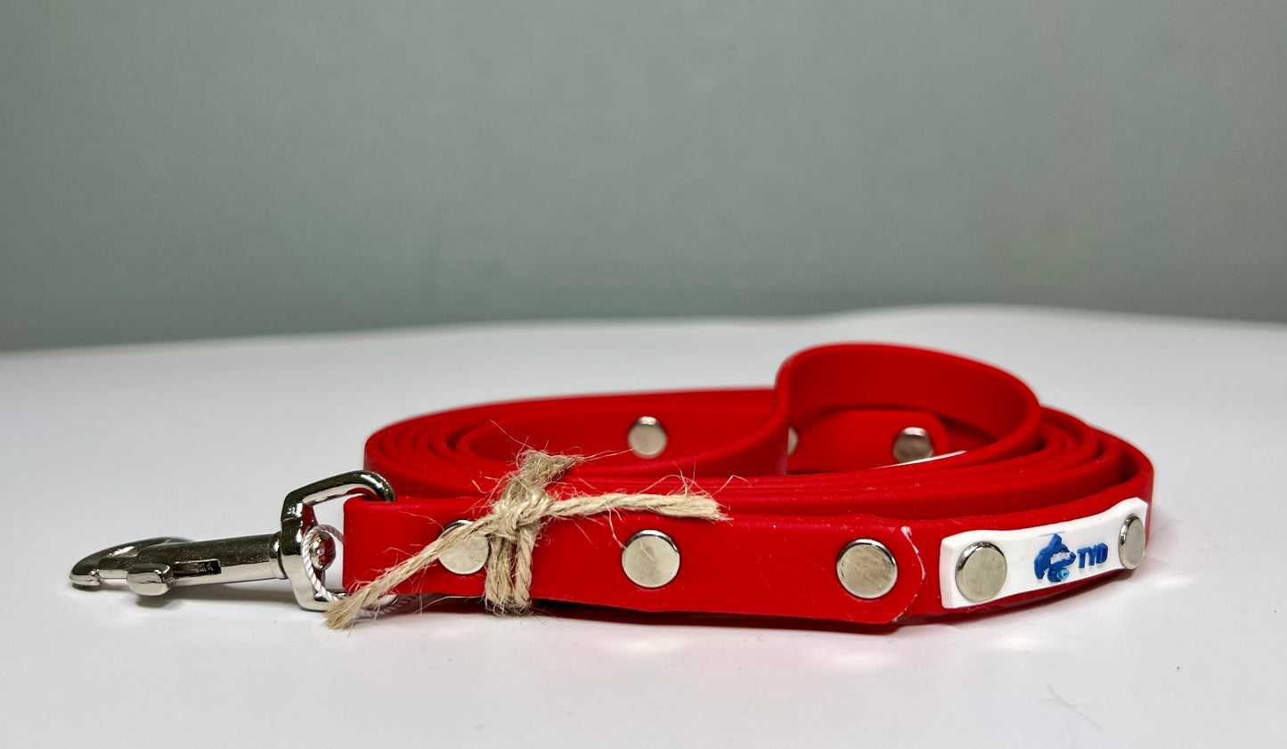 Leashes - Ready To Ship