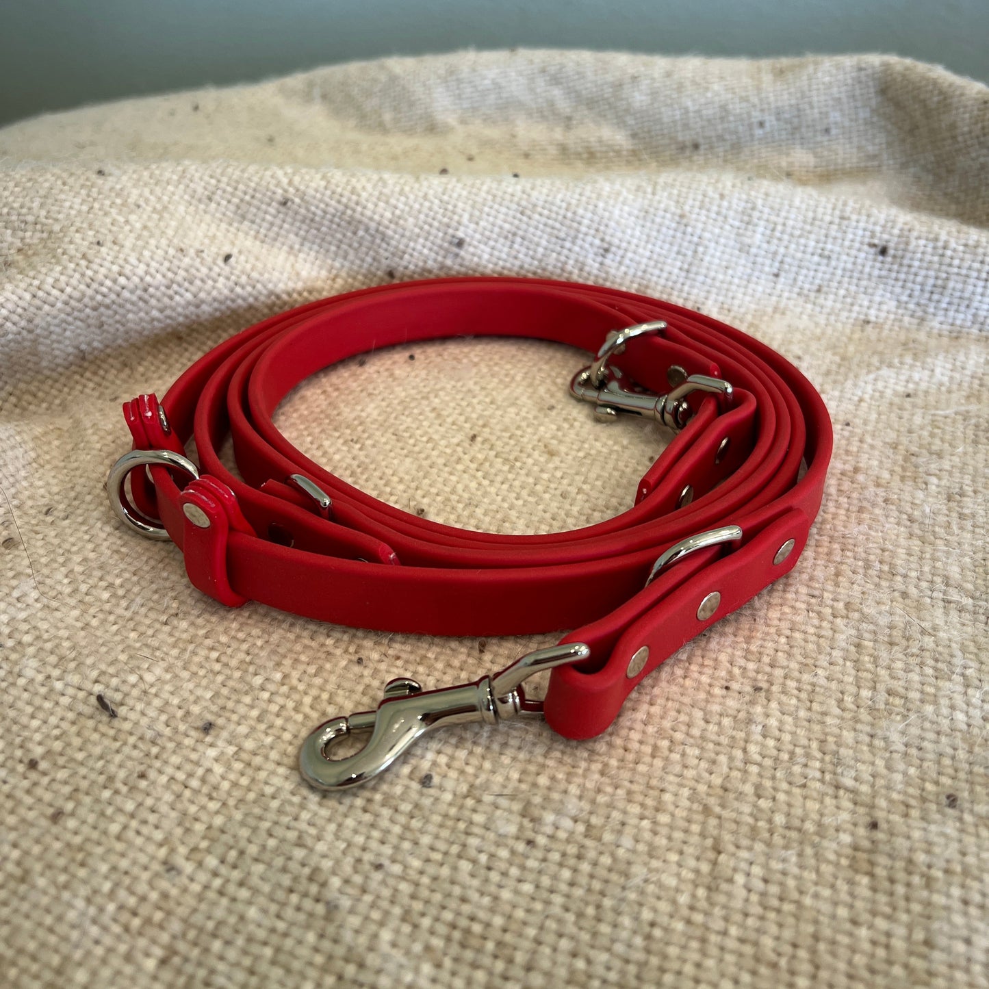 Euro Leash - Ready To Ship