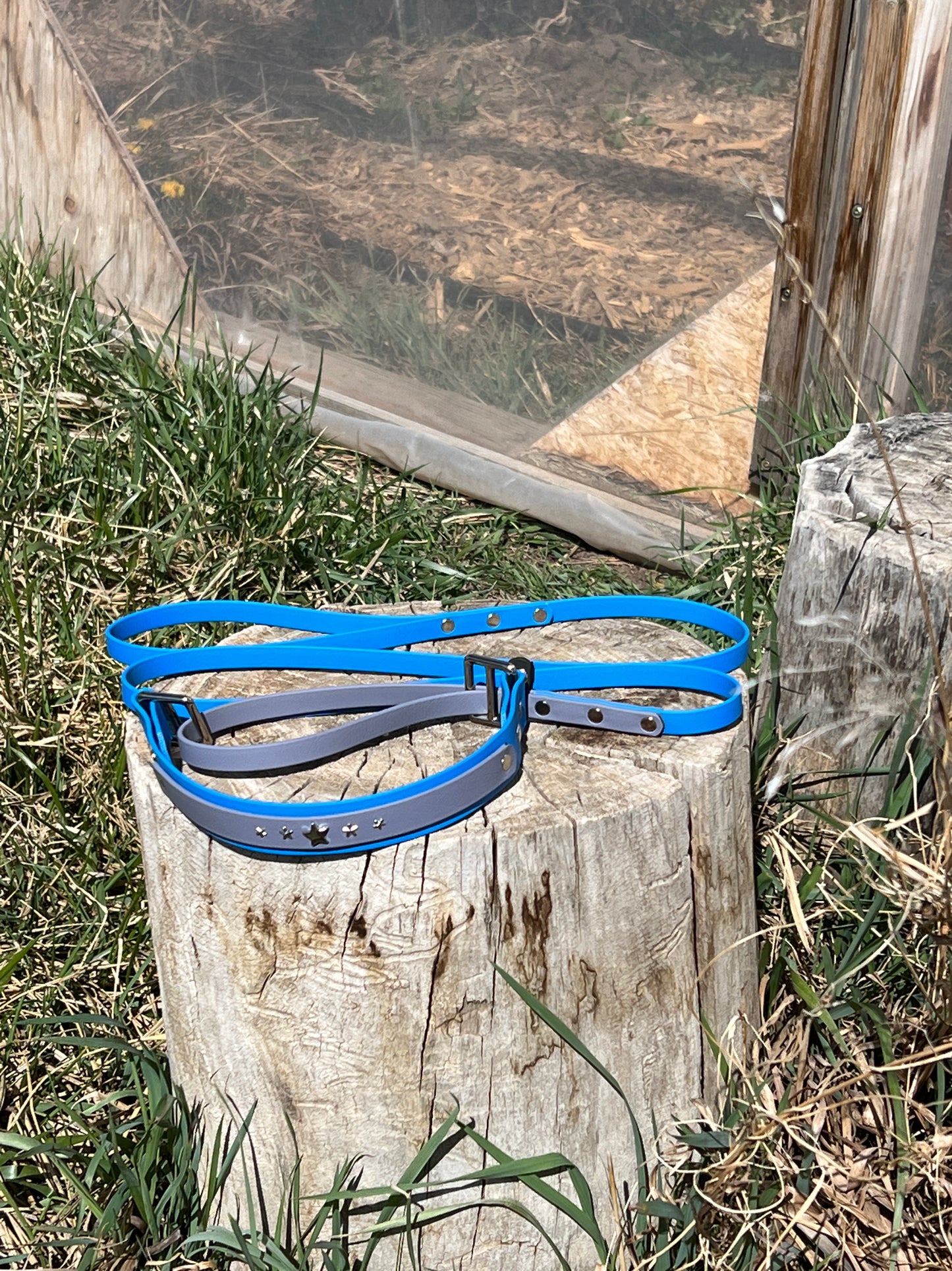 Custom Martingale Leash