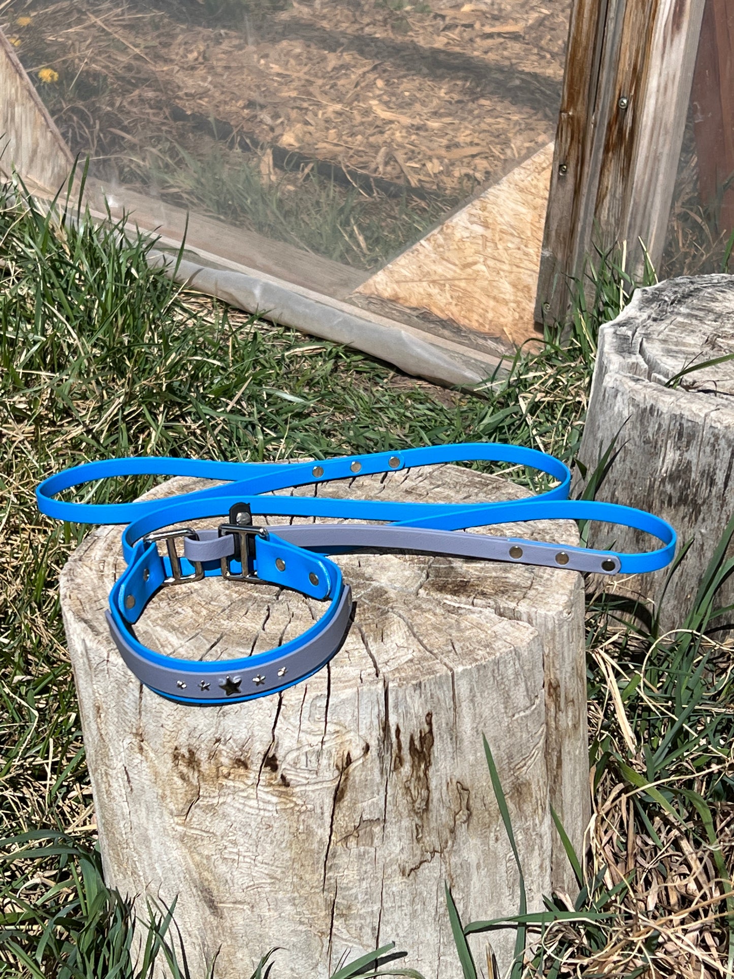 Custom Martingale Leash