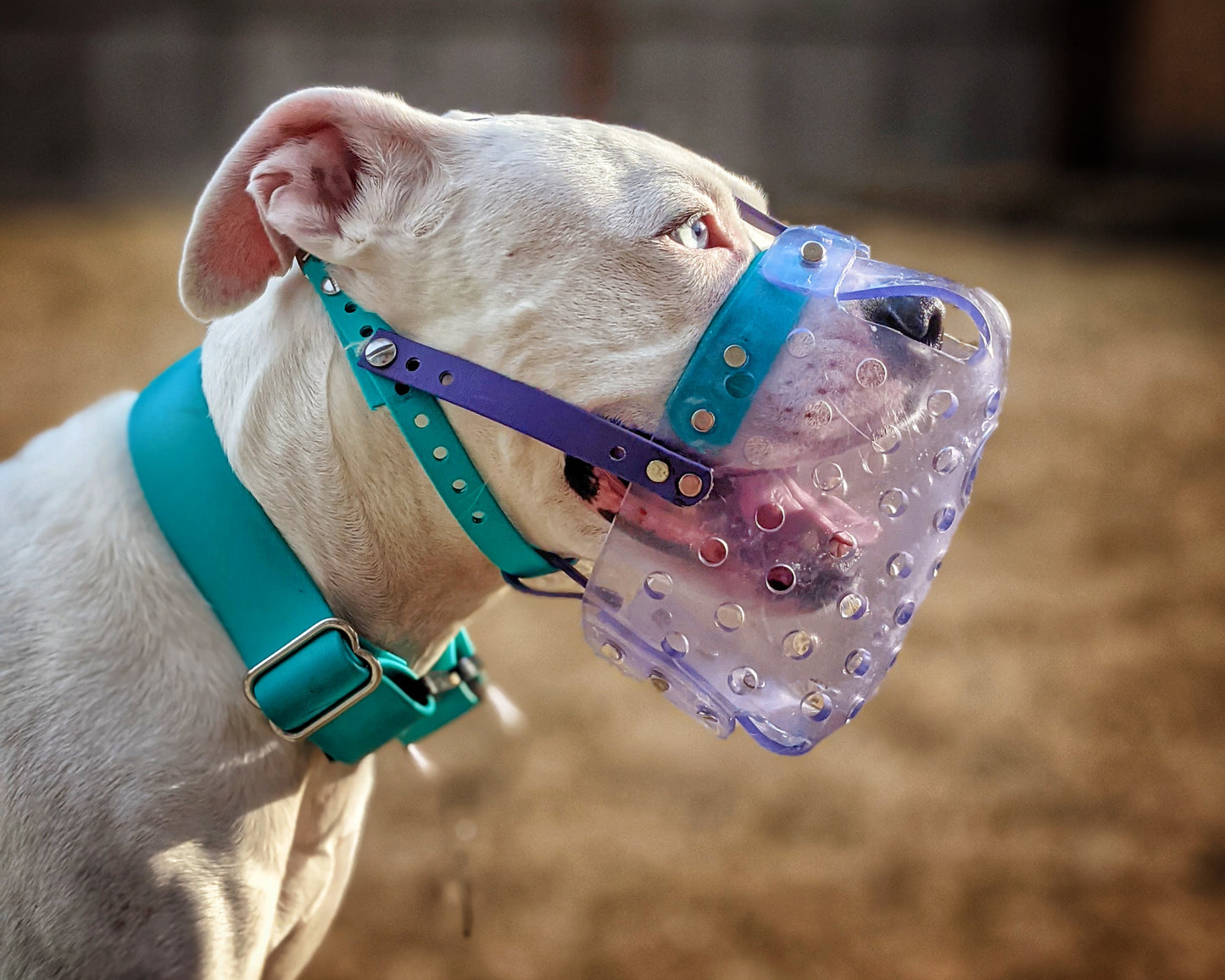 Custom Vinyl Muzzles