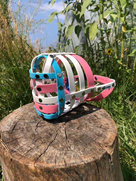 Custom Biothane Muzzle