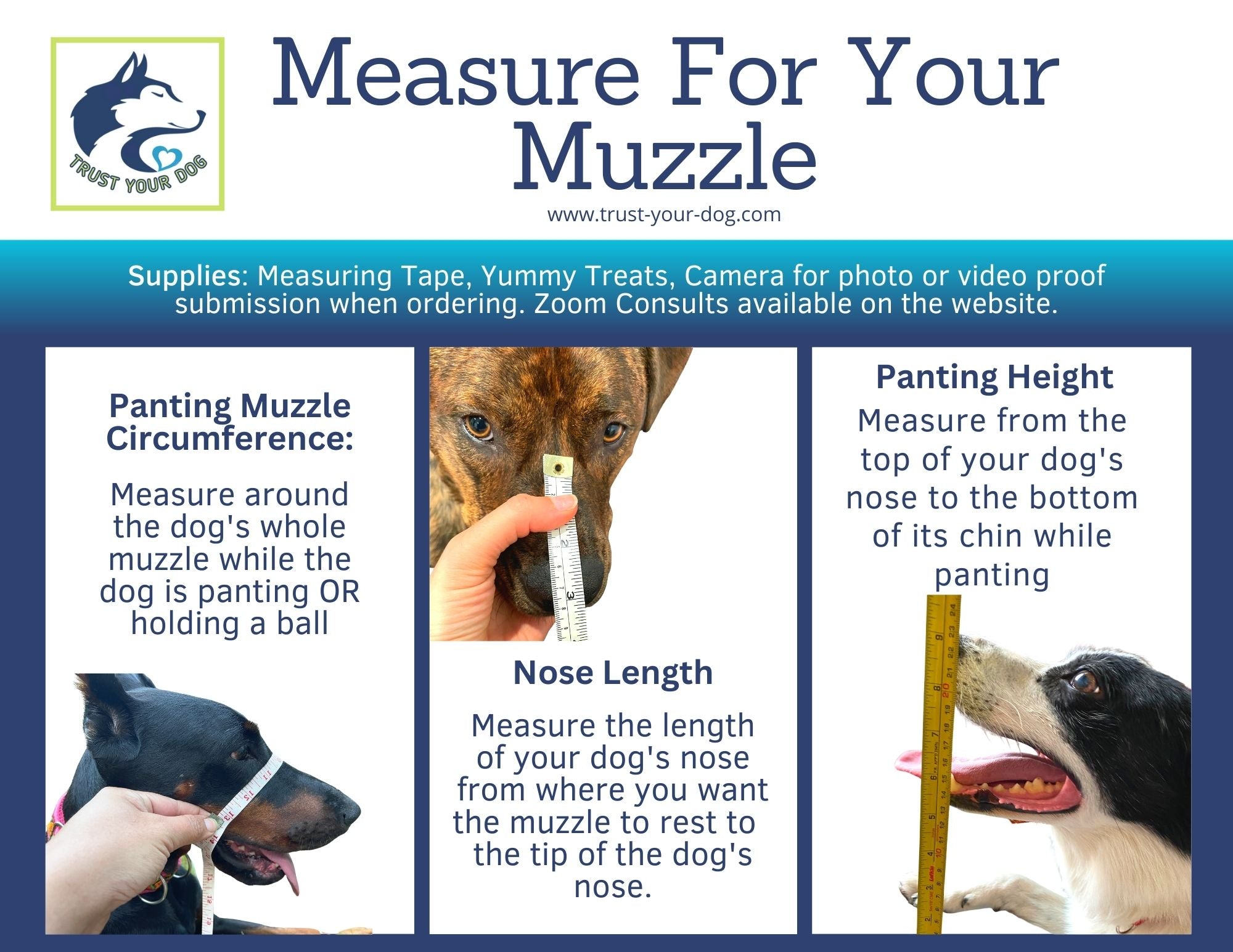 Measure dog hot sale muzzle size