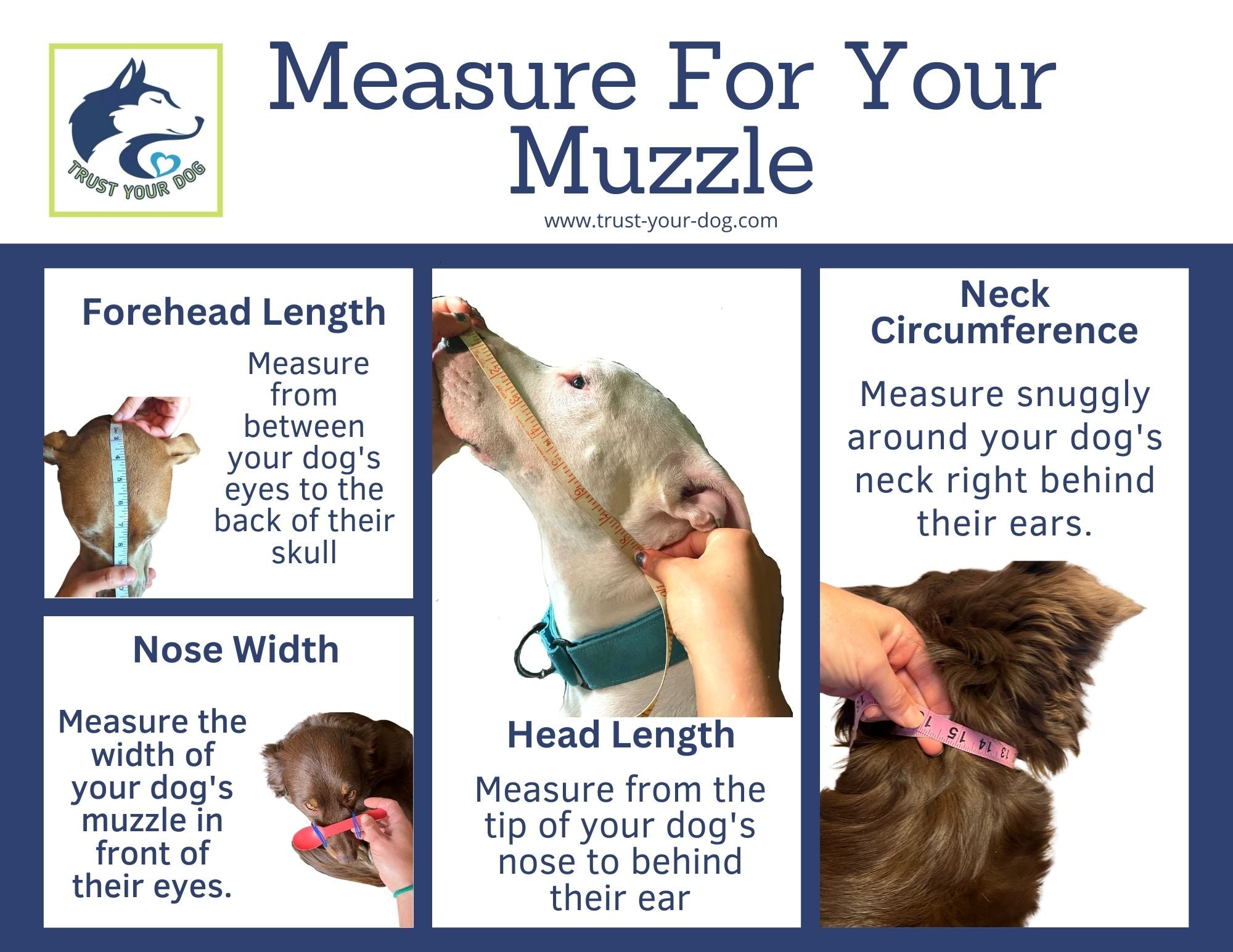 Dog muzzle outlet sizes