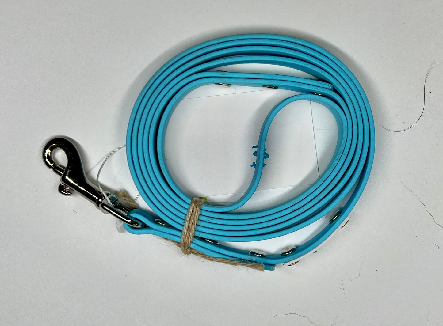 Leashes - Ready To Ship