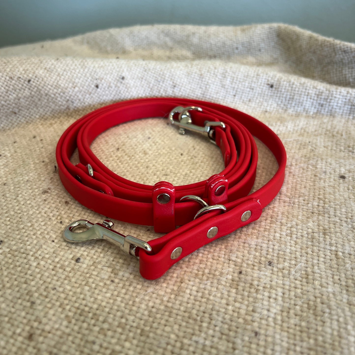 Euro Leash - Ready To Ship