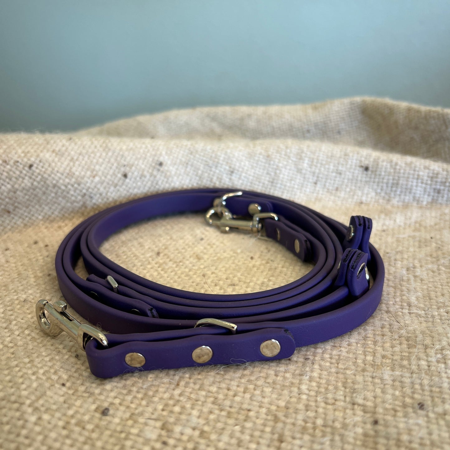 Euro Leash - Ready To Ship