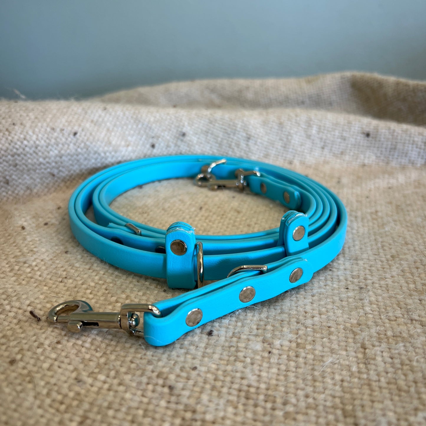 Euro Leash - Ready To Ship