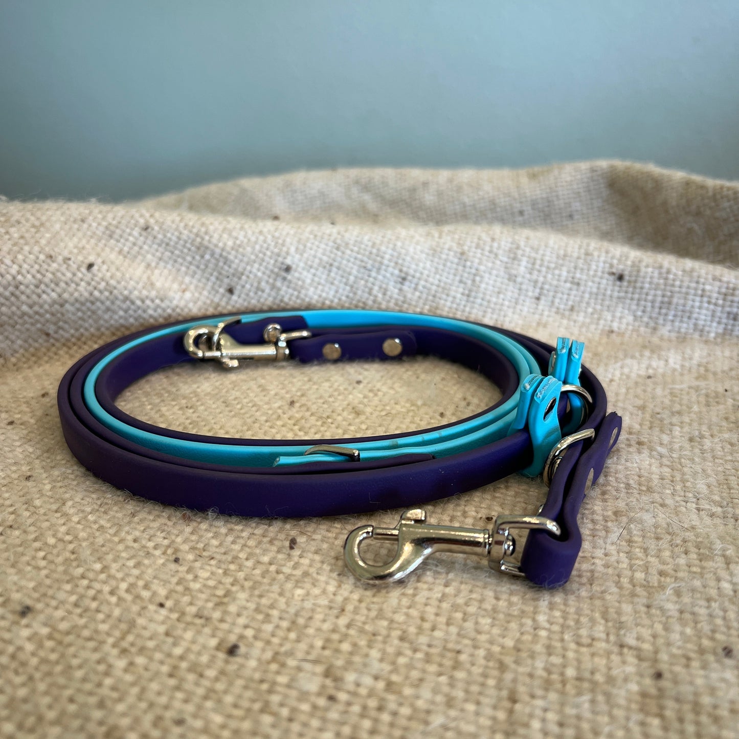 Euro Leash - Ready To Ship