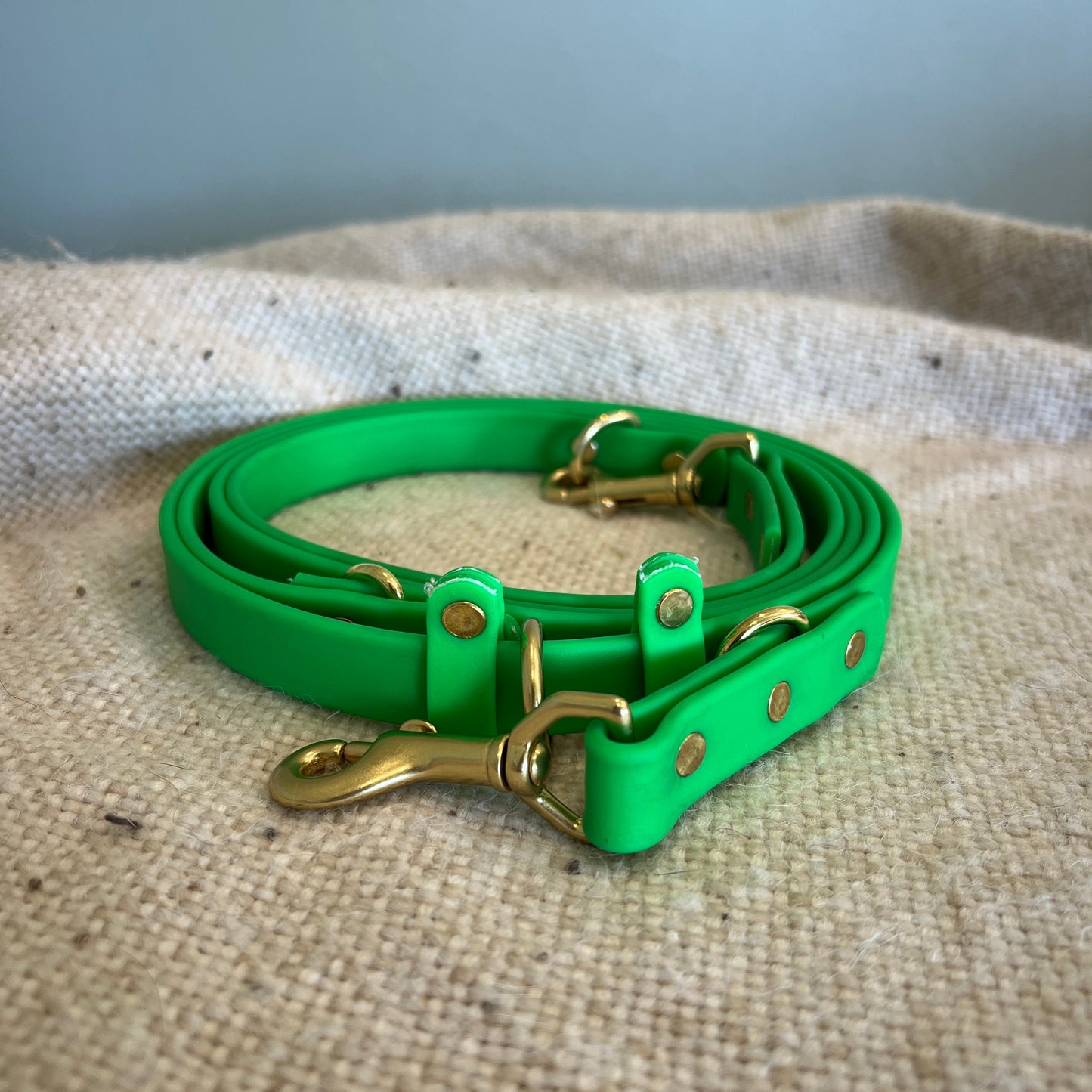 Euro Leash - Ready To Ship
