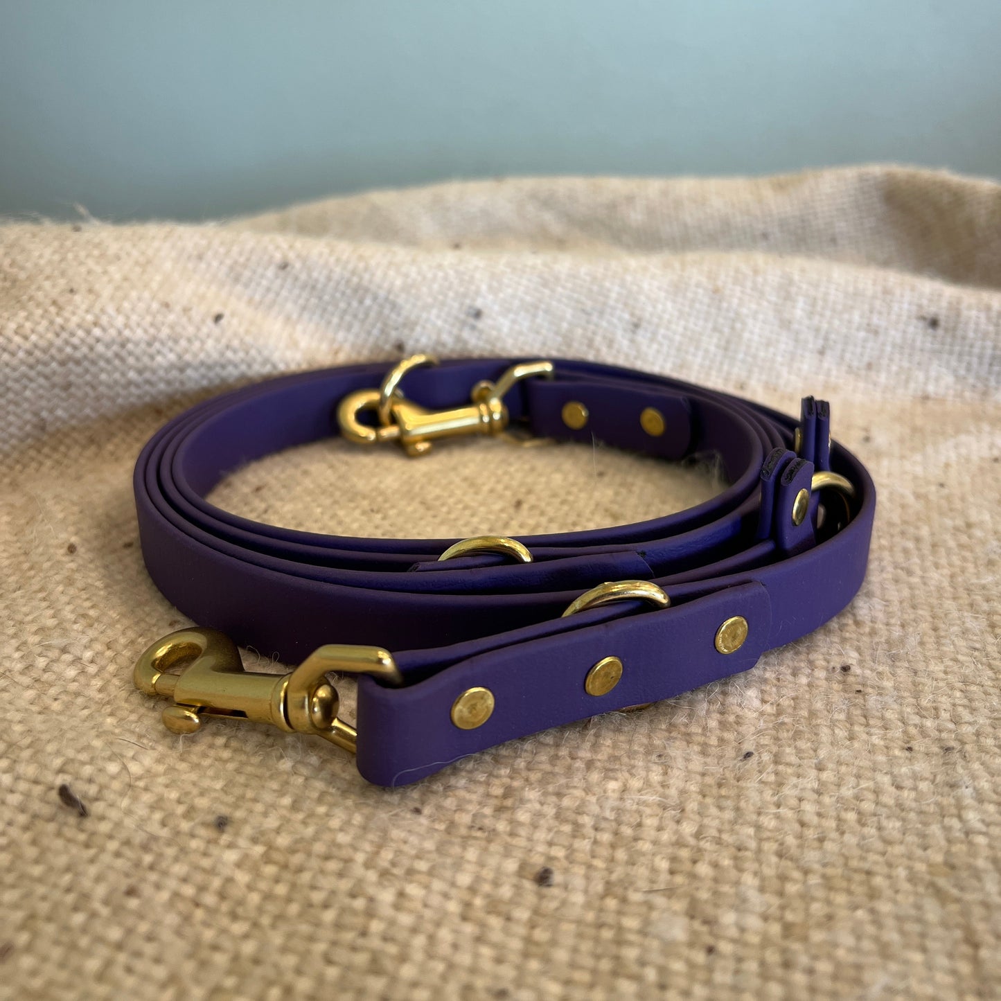 Euro Leash - Ready To Ship