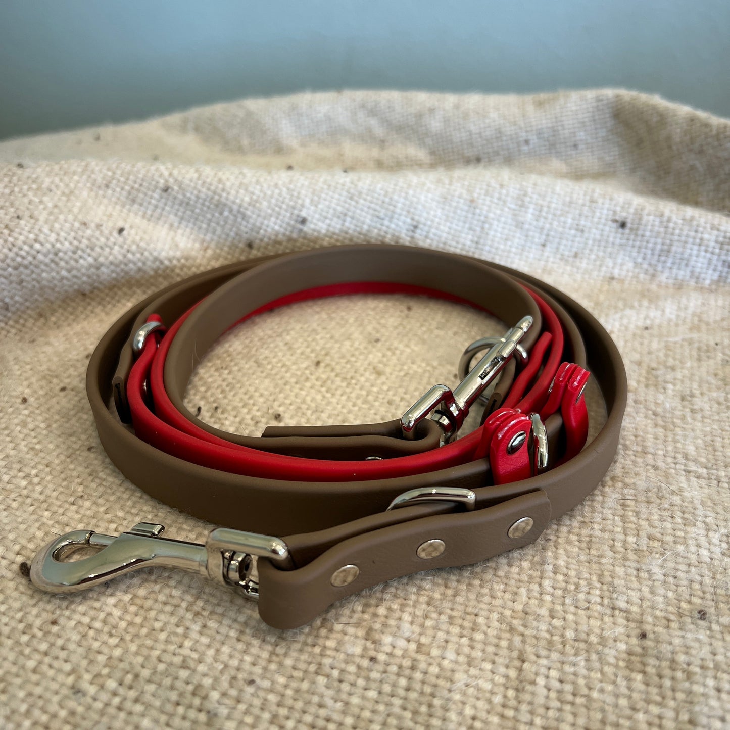 Euro Leash - Ready To Ship