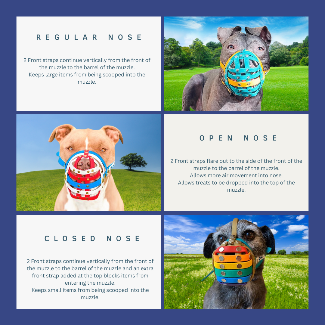 Custom Biothane Muzzle